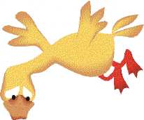 PATITO